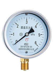 Capsule Pressure Gauge