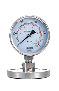 Diaphragm Pressure Gauge