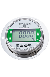 Digital Pressure Gauge
