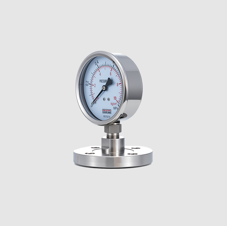 Dual Needle Air Pressure Gauge