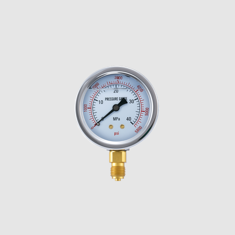 Shakeproof Industrial Pressure Gauge with Stainless Steel