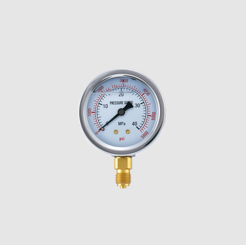 Shakeproof Industrial Pressure Gauge with Stainless Steel