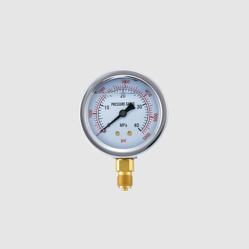Shakeproof Industrial Pressure Gauge with Stainless Steel