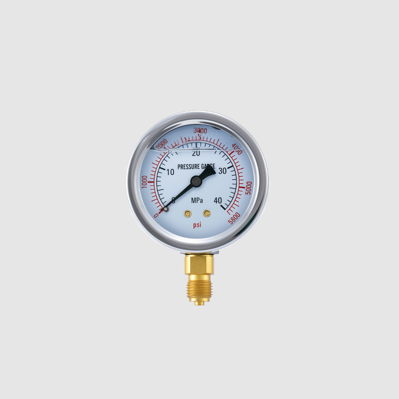 Shakeproof Industrial Pressure Gauge with Stainless Steel