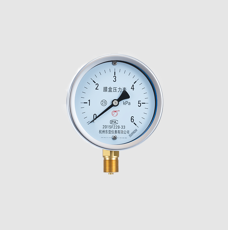 Pressure Gauge Capsule Type